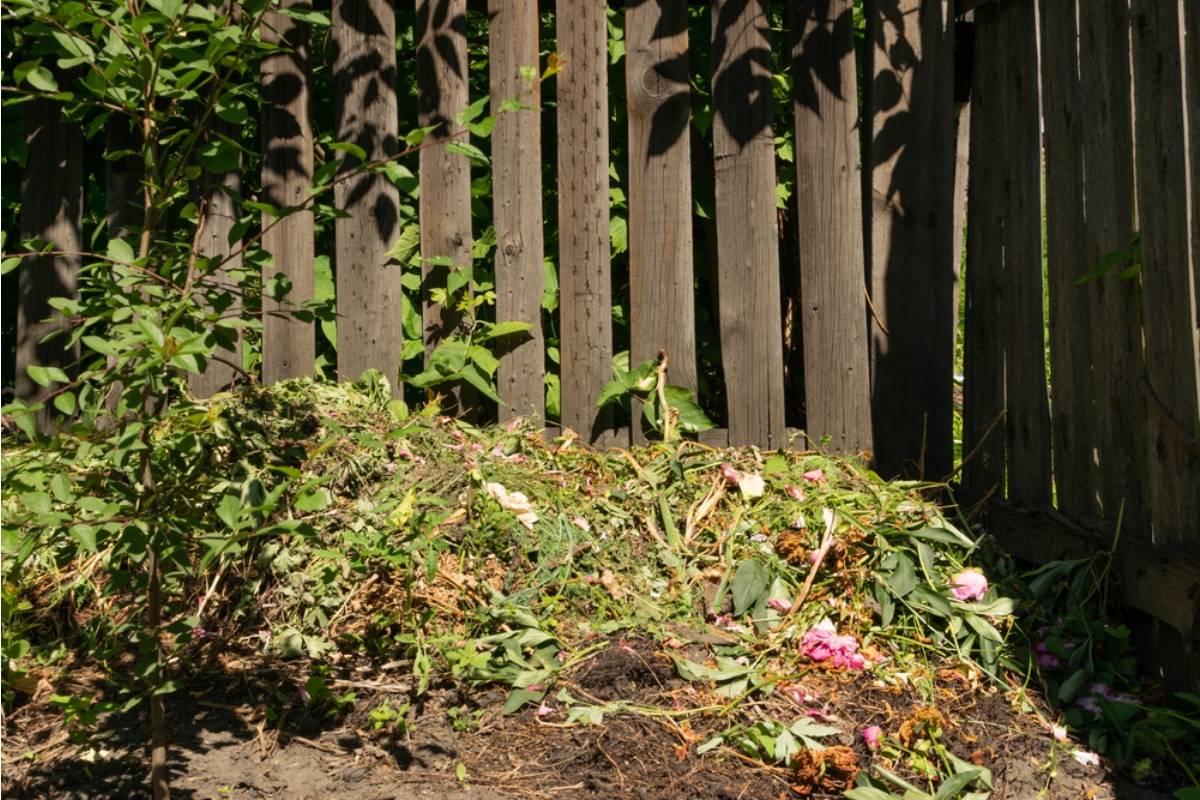 Homeowner Says Neighbor Let Rotting Trash Pile Up Along Her Garden Border, Then the Rocks Missing From Her Drainage Ditch Exposed a Much Bigger Backyard Problem