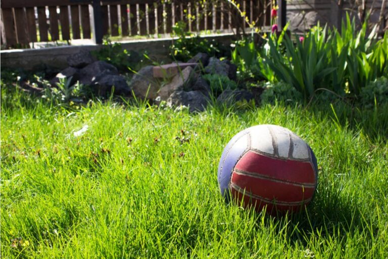 Homeowner Says Neighborhood Kids Turned Her Flower Beds Into a Ballpark, Then One Wild Swing Sent a Soccer Ball Straight Into Her Husband's Car
