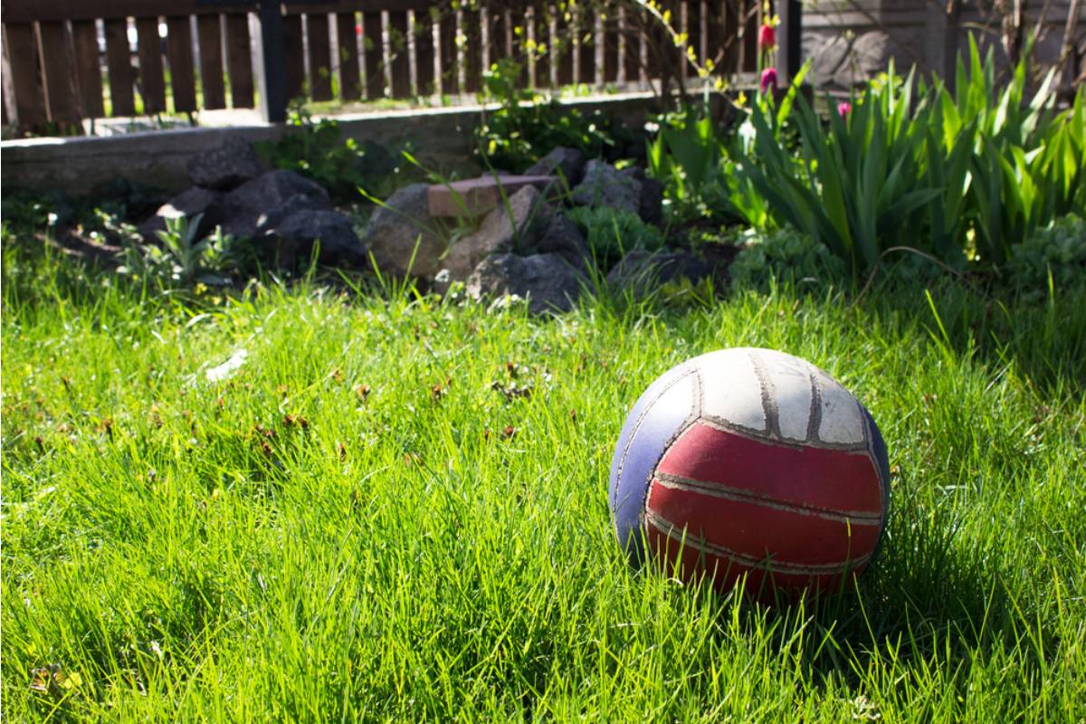 Homeowner Says Neighborhood Kids Turned Her Flower Beds Into a Ballpark, Then One Wild Swing Sent a Soccer Ball Straight Into Her Husband's Car