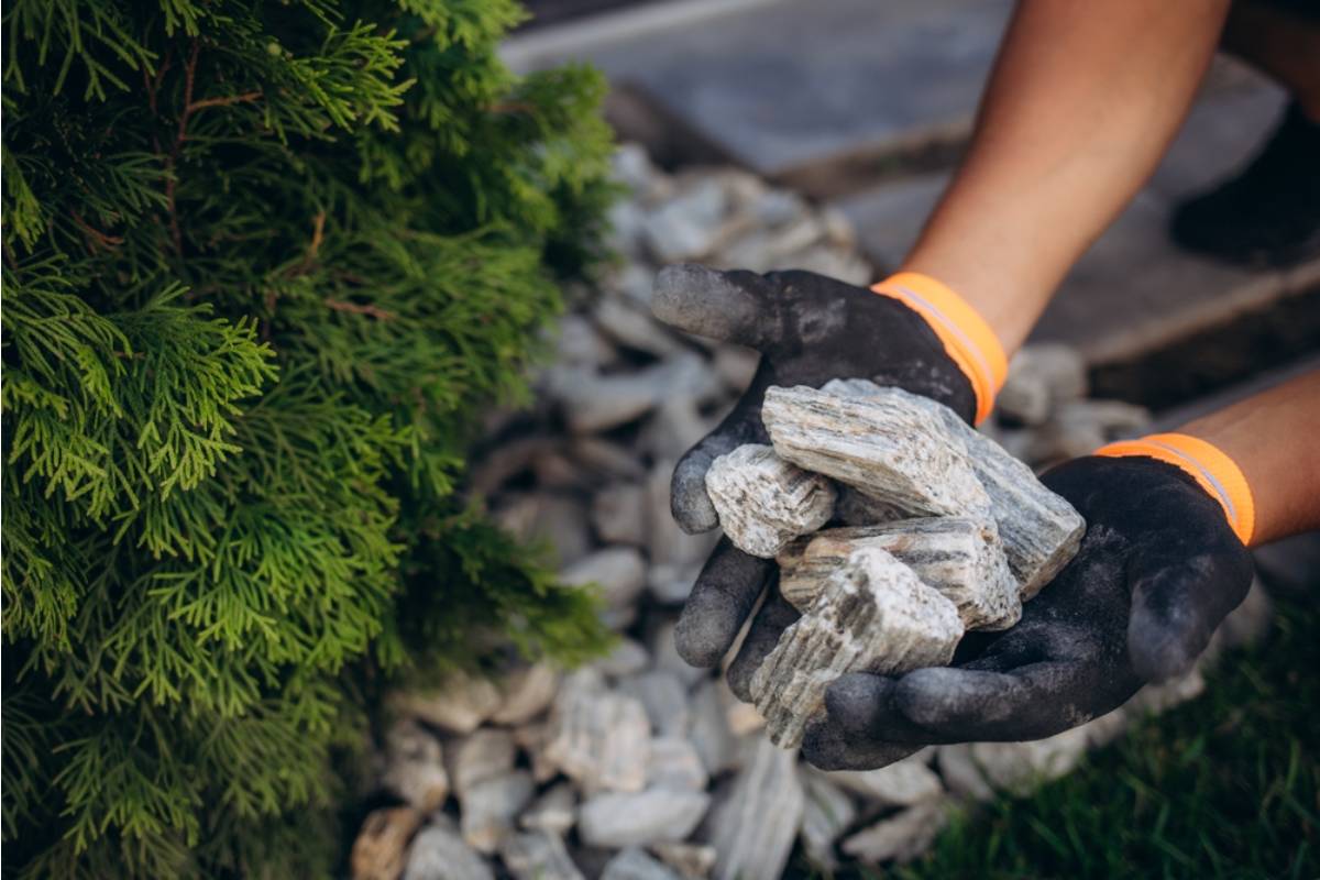Homeowner Says Neighbors Quietly Removed Her Decorative Garden Rocks, Then Their Tiny Yard Project Started Creeping Onto Her Property