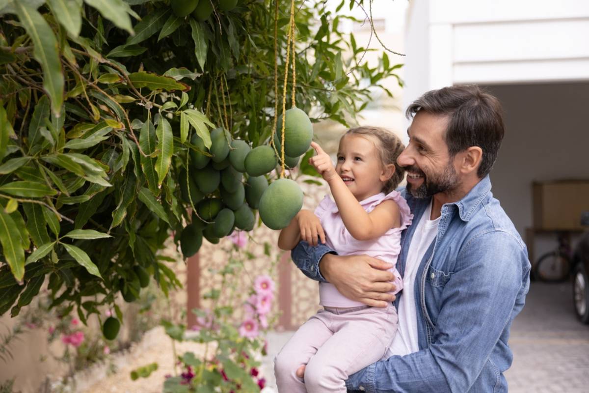 Homeowner Says Ripe Mangoes Kept Vanishing From His Garden Overnight, Then He Caught His Neighbor Climbing the Boundary Wall