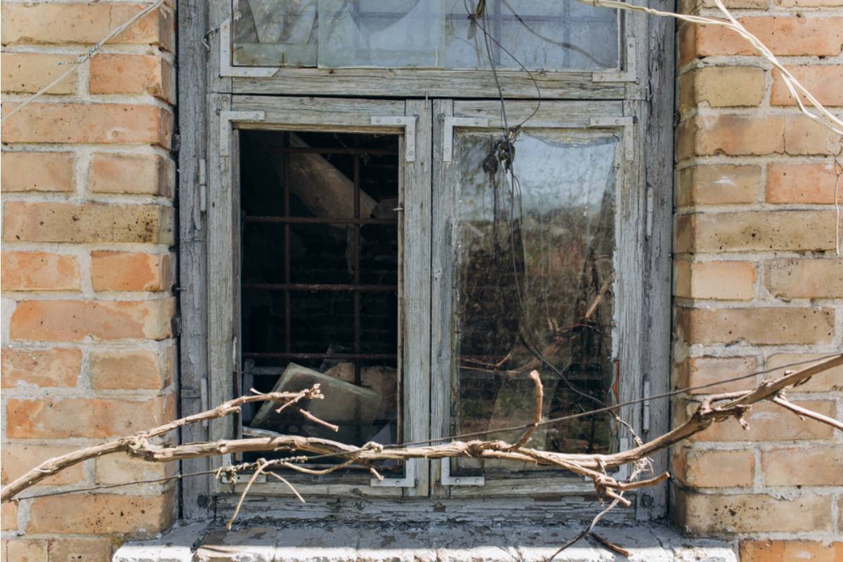 Homeowner Says a Dead Tree From the Business Next Door Sent a Branch Through Her Toddler's Bedroom Twice, Then the Fight Over Removing It Became Even More Complicated