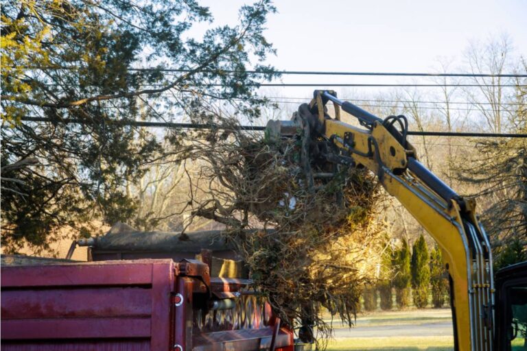 Homeowner Says a Highway Crew Came to Clear the Roadside, Then an Excavator Tore Into Trees That Were Nowhere Near the Right-of-Way