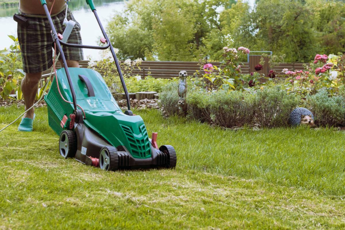 Homeowner Says a Lawn Crew Was Shown Exactly What to Protect, Then Returned With Mowers That Tore Through His Blackberry Patch, Lemon Tree, and Garden