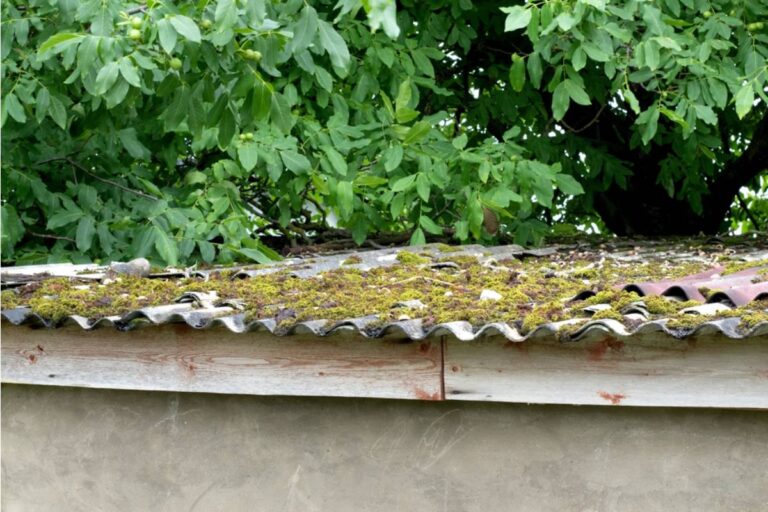 Homeowner Says a Massive Oak Sent Branches Across Her Roof for Eight Years, Then One Small Cut Triggered a $450,000 Threat