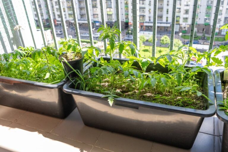 Homeowner Says a Neighbor's Balcony Tomato Garden Was Blamed for Rising HOA Water Bills, Then the Meter Told a Very Different Story