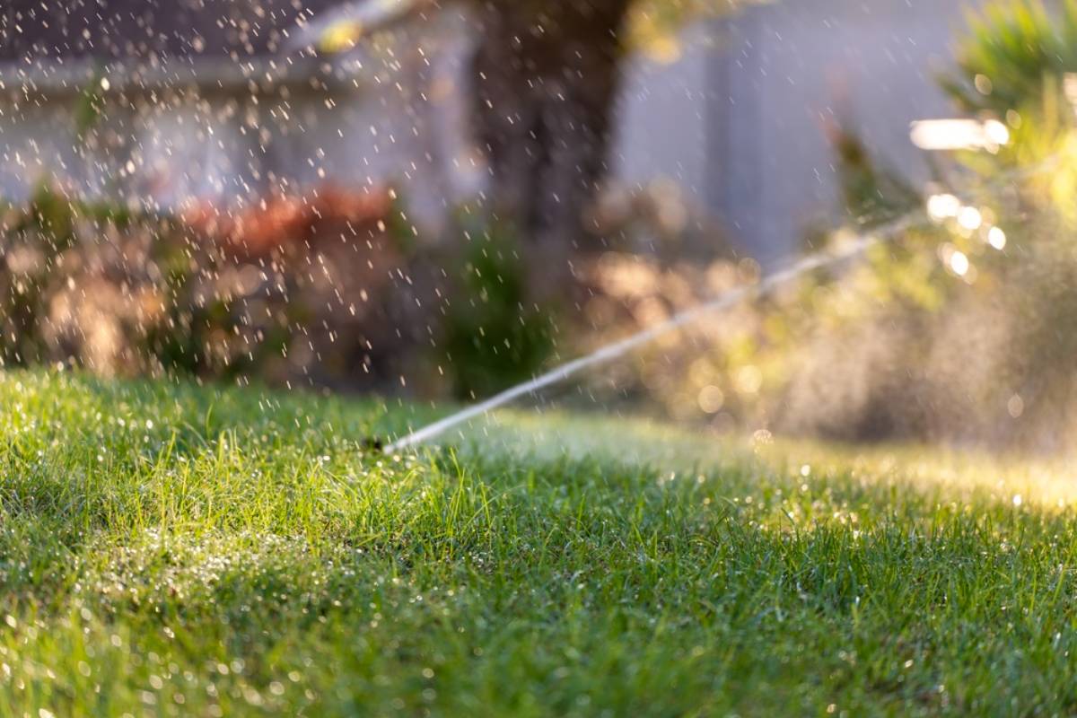Homeowner Says a Neighbor’s Sprinkler Turned the Edge of His Garden Into a Muddy Mosquito Trap, Then Their Late-Night Watering Habit Made Everything Worse