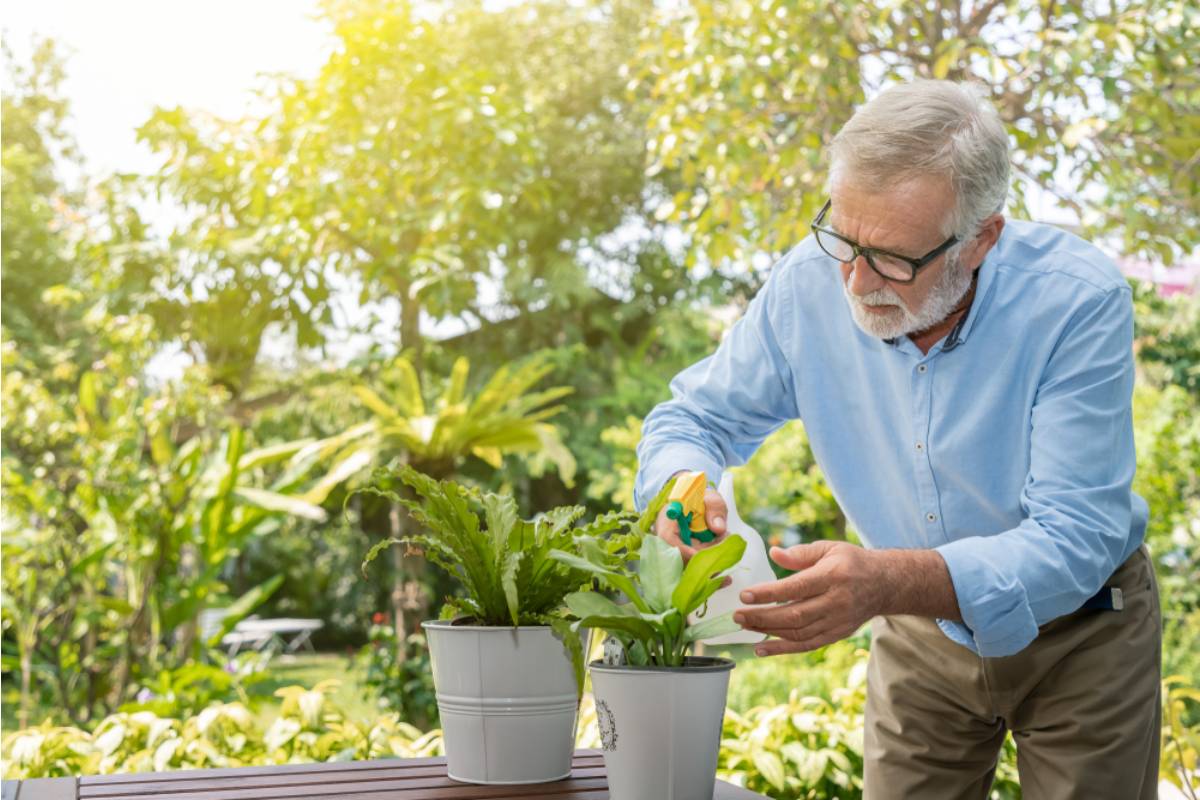 Homeowner Says an Elderly Relative Turned the Quiet Garden Next Door Into a Morning Worksite, Then One Unpleasant Habit Became Impossible to Ignore