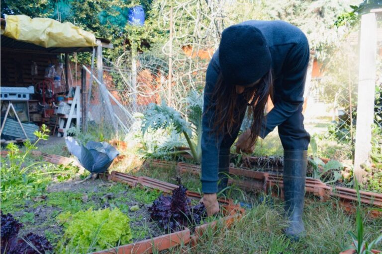 Homeowner Says an HOA Approved a Caretaker to Tidy His Late Father’s Garden, Then Six Months Later He Found the Greenhouse Being Used by Strangers