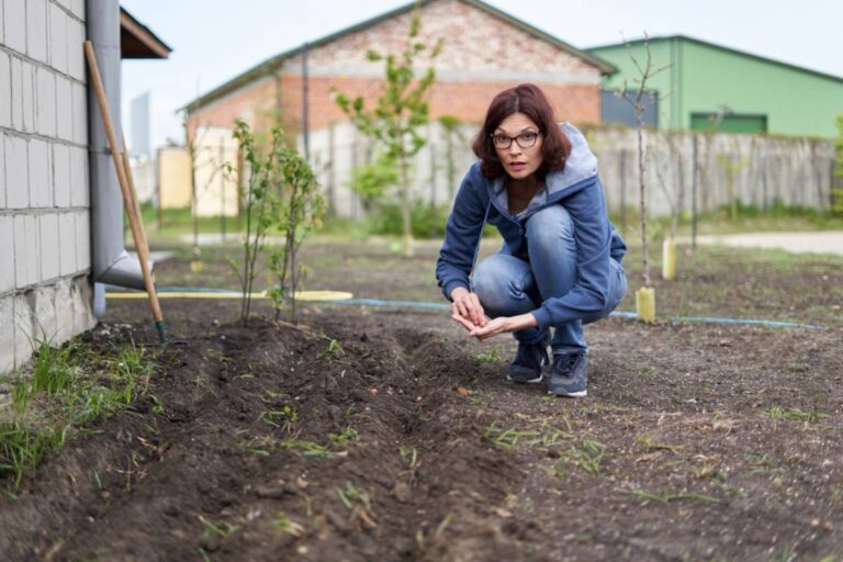 Homeowner Was Told Her Base Housing Garden Had to Be Planted in the Ground, So She Chose the One Herb That Could Take Over the Yard
