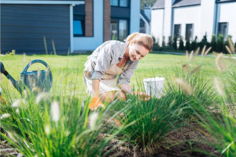 Renter Says Their Landlord Quietly Planned a Second House in the Garden, Then the Neighbors Started Measuring the Fence