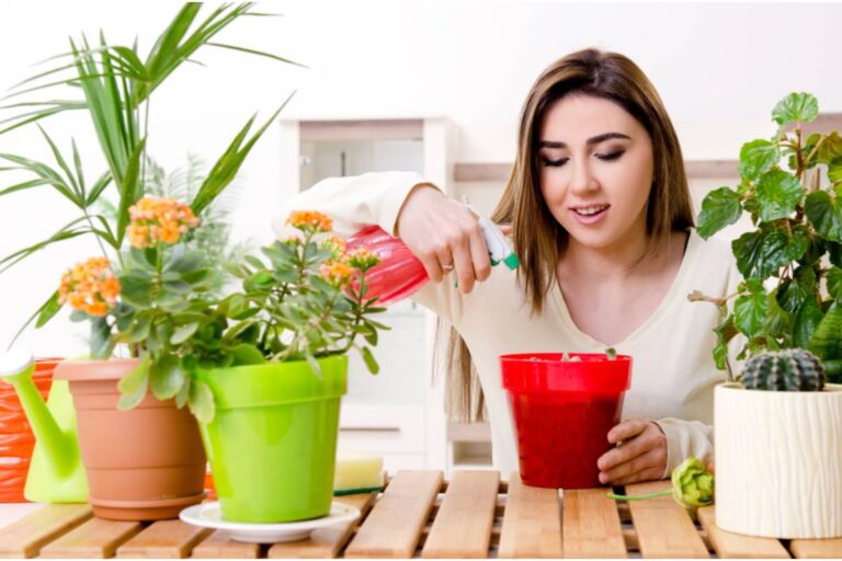 She Built a Perfect Indoor Jungle by Secretly Replacing Every Dying Plant, Until a Nursery Cashier Started Recognizing Her