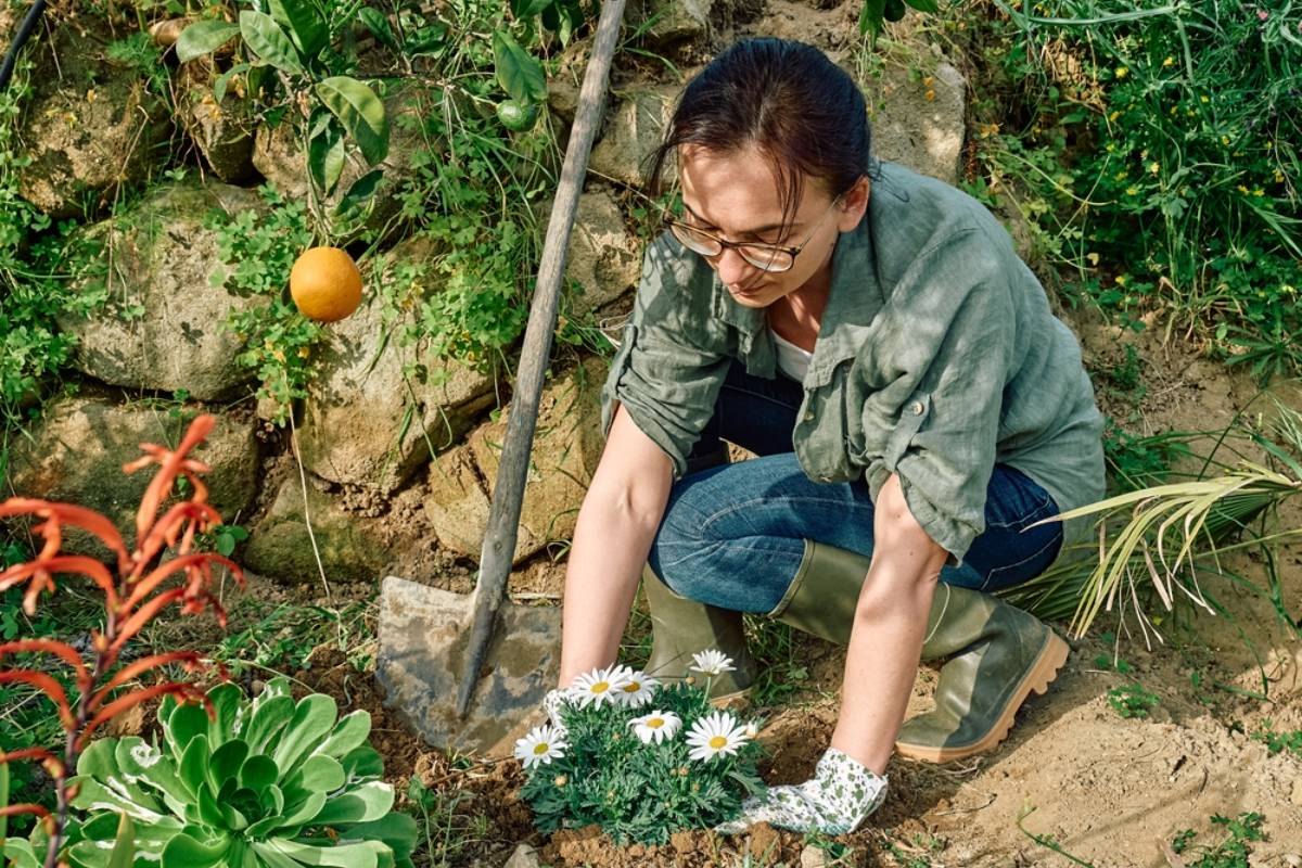 She Could Barely Plant a Flower Without Feeling Watched, Then Her Neighbor Suddenly Sent Her Dozens of Friend Requests