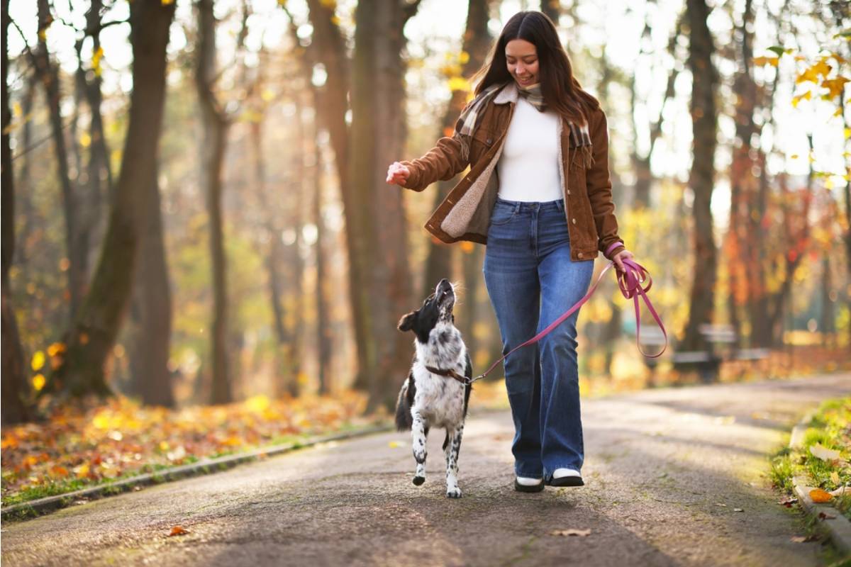 She Took Her Dog on a “Long Walk” Every Evening, Until She Revealed What She Was Really Growing by the Garden Pond