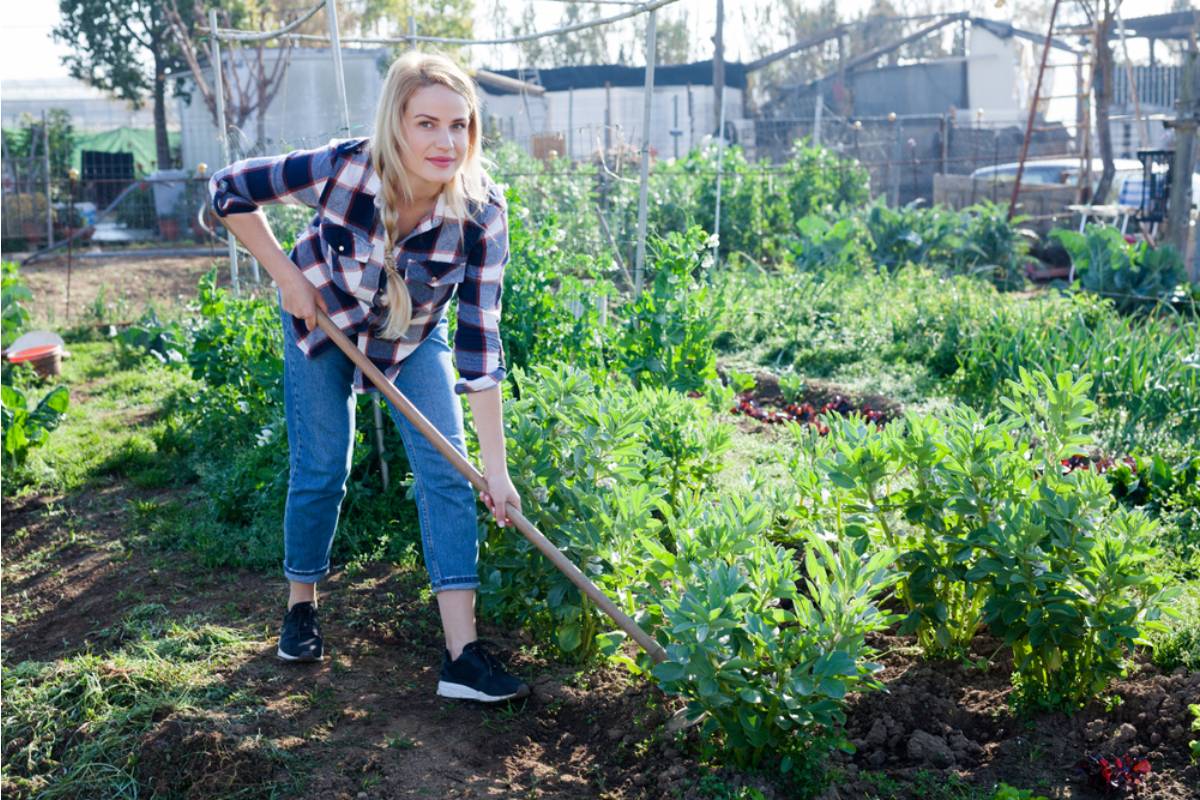 They Grew 20 Bags of Vegetables, Then One Morning Mistake Turned Their Garden Tradition Into a Marriage Argument