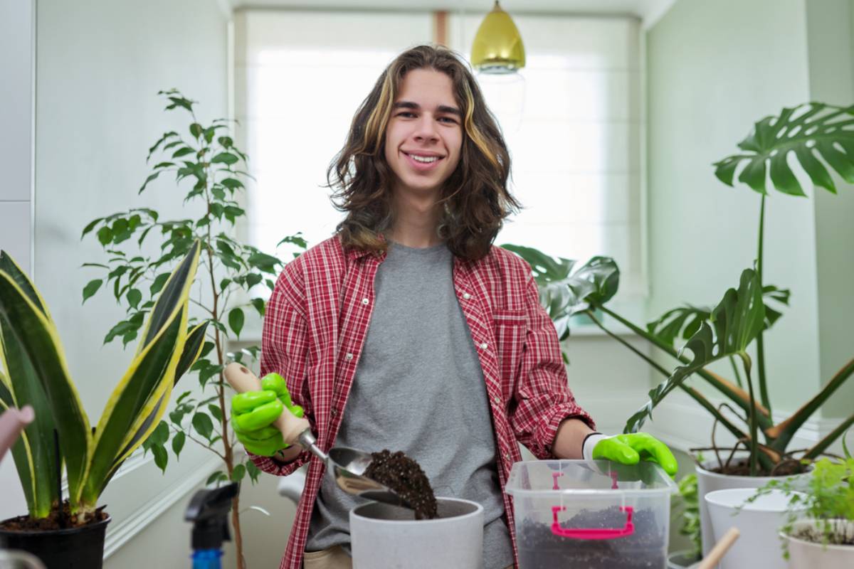 A College Student Woke Up With a Three-Meter Tree in His Bedroom After a Night of Drinking, Then His Mother Discovered Where It Came From and Planted It in Her Garden
