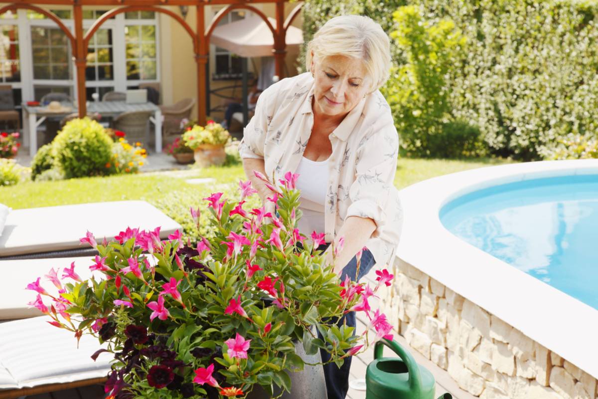 A Couple Spent Nearly a Decade Tending Their Courtyard Garden in Peace, Then Their New Neighbor Decided Their Home Should Be Hers