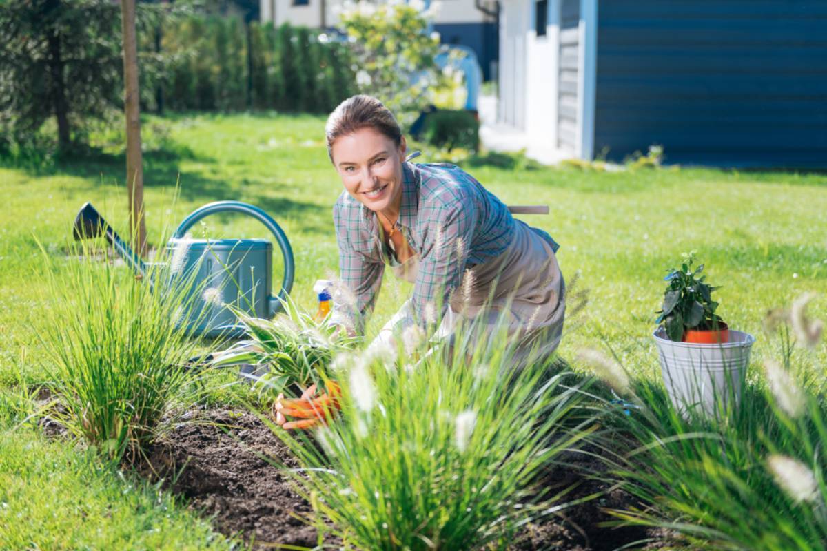 A Gardener Says Growing Vegetables Should Be as Simple as Loosening Soil and Planting Seeds, Then Experienced Growers Reveal Why Everyone Keeps Turning Their Backyards Into Expensive Science Experiments