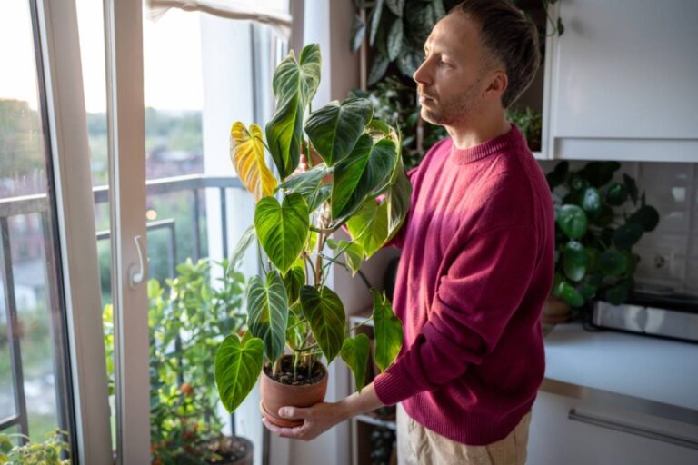 A Gardener Spent Years Building a Rare Plant Collection, Then Trusted His Best Friend to Look After It While He Was Away