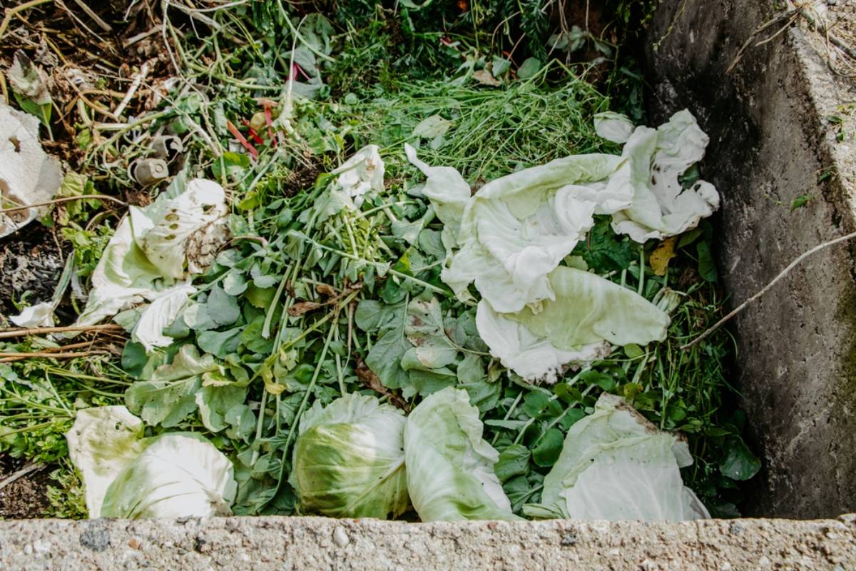 A Gardener Was Just Trying to Keep Up With a Pile of Fallen Leaves, Then One Chilly Morning, Their Compost Started Steaming Like a Giant Pot of Soup