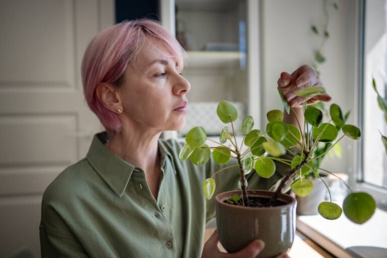 A Grieving Woman Was Given Two Plants After Her Brother Died, Then Realized She Couldn’t Stand Either One