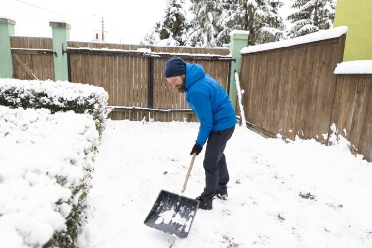 A Homeowner Bought a House Hoping to Enjoy His Yard in Peace, Until His Neighbor Started Dumping Snow on His Lawn and Complaining About His Trees