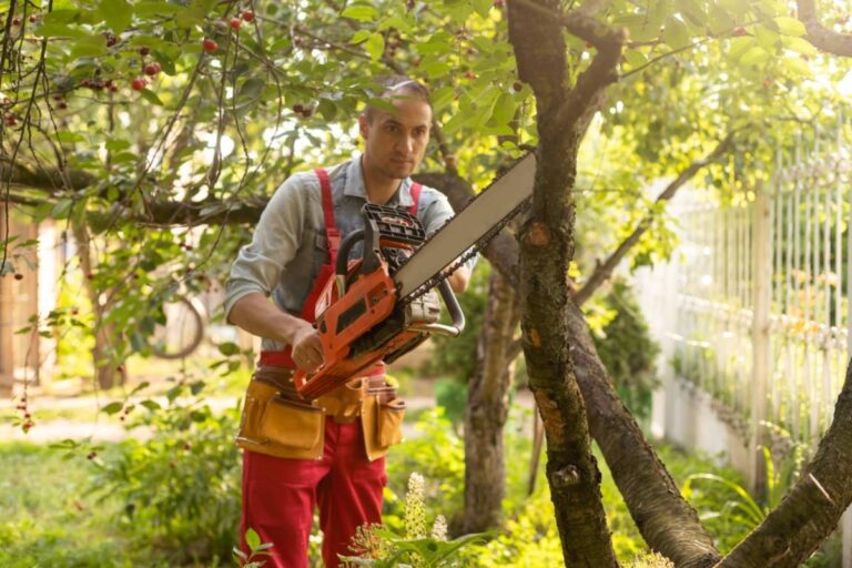 A Homeowner Says a New Neighbor Hired a Tree Company to Clear the Property Line, Then Workers Started Cutting Down His Young Trees Before Anyone Realized They Were on the Wrong Side