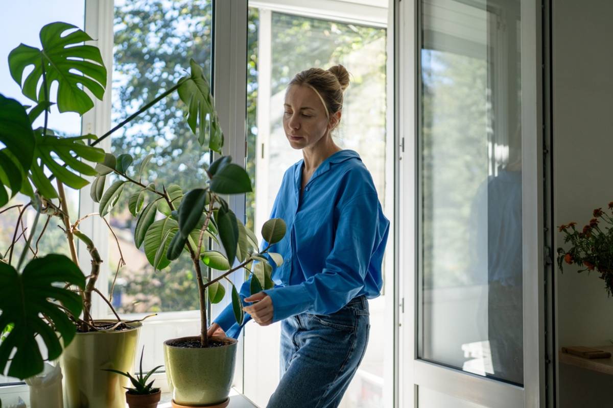 A Homeowner Tried to Avoid Her Childhood Bully After She Moved Next Door, Until Unexpected Apologies, Homemade Treats, and a Lonely Holiday Turned Their Neighborhood Drama Upside Down