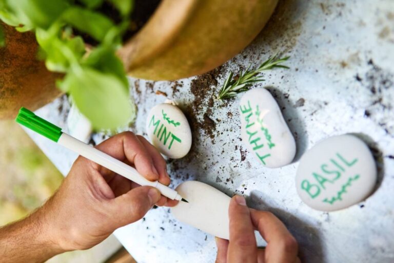 A Husband Thought He Could Get Away With a Little Plant-Labeling Trick, Until One Houseplant Mishap Turned His Gardening Secret Into a Confession He Might Take to the Grave