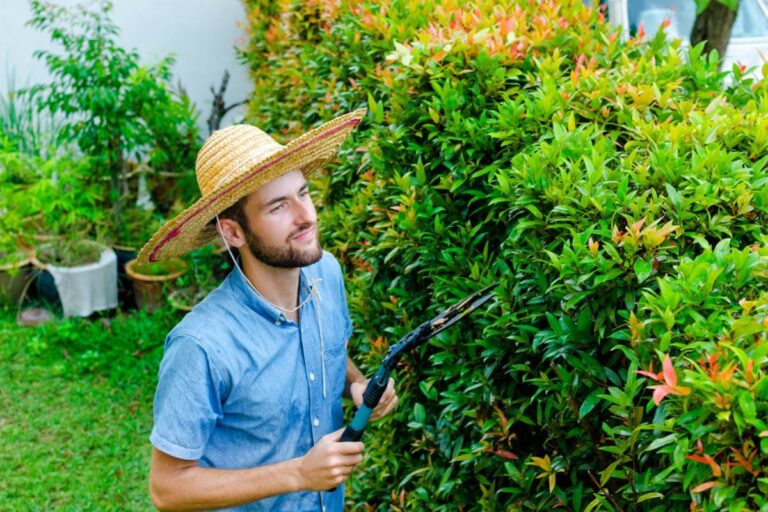 A Man Says His Neighbors Kept Spraying Water on His Brand-New Car Despite Repeated Warnings, Then He Dumped Five Pounds of Salt on Their Garden Bushes Before Moving Away Left the New Owners With a Landscaping Mystery