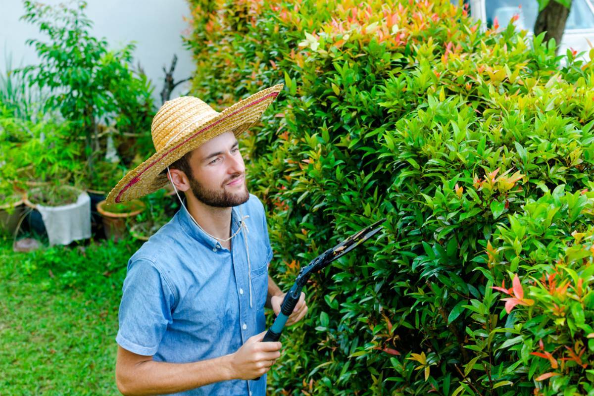 A Man Says His Neighbors Kept Spraying Water on His Brand-New Car Despite Repeated Warnings, Then He Dumped Five Pounds of Salt on Their Garden Bushes Before Moving Away Left the New Owners With a Landscaping Mystery