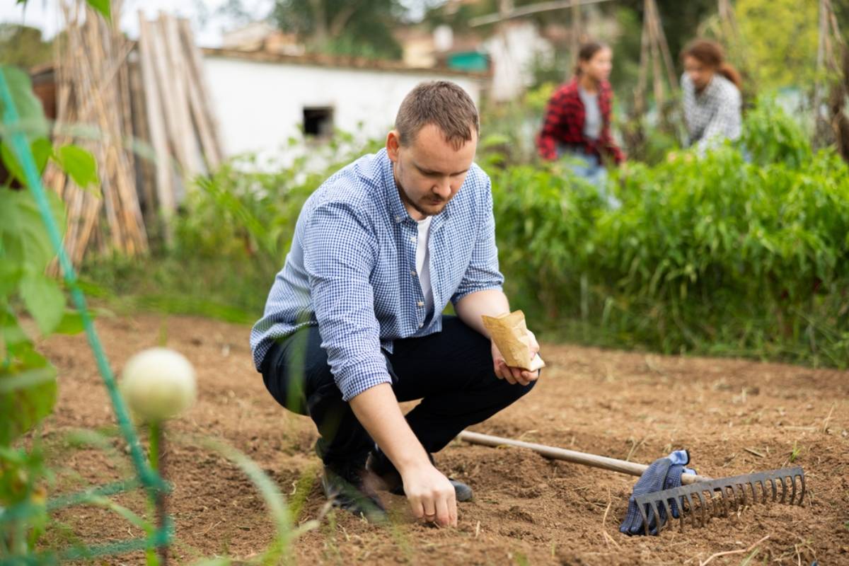 A Man Spent More Than Twenty Years Secretly Planting Pumpkin Seeds Wherever He Went, Then People Across the Country Started Discovering Mysterious Pumpkin Patches and Wondering Who Was Behind Them