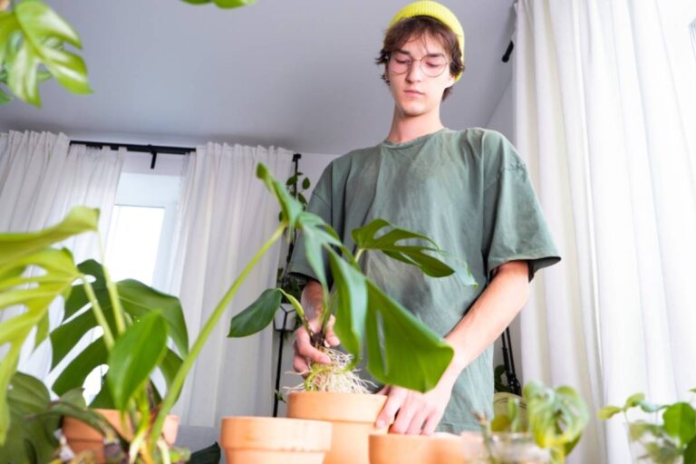 A Man Watched His Ex-Girlfriend’s Beloved Houseplants Slowly Die After She Left Him for Someone Else, Then Faced a Surprisingly Difficult Question About Whether He Should Save Them
