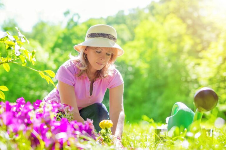 A Neighbor Turned a Forgotten Shared Courtyard Into a Lush Little Garden, Then One Resident Realized the New Flowers Came With an Unexpected Catch