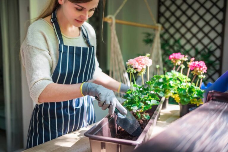 A Person Started Giving Flowers to Strangers for No Particular Reason, Then Discovered How One Small Bloom Could Change Someone’s Entire Day