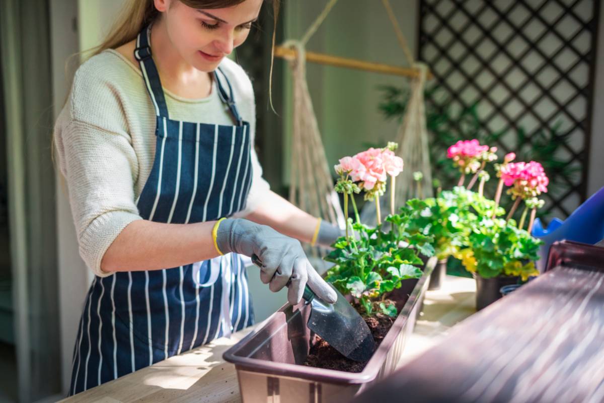 A Person Started Giving Flowers to Strangers for No Particular Reason, Then Discovered How One Small Bloom Could Change Someone’s Entire Day