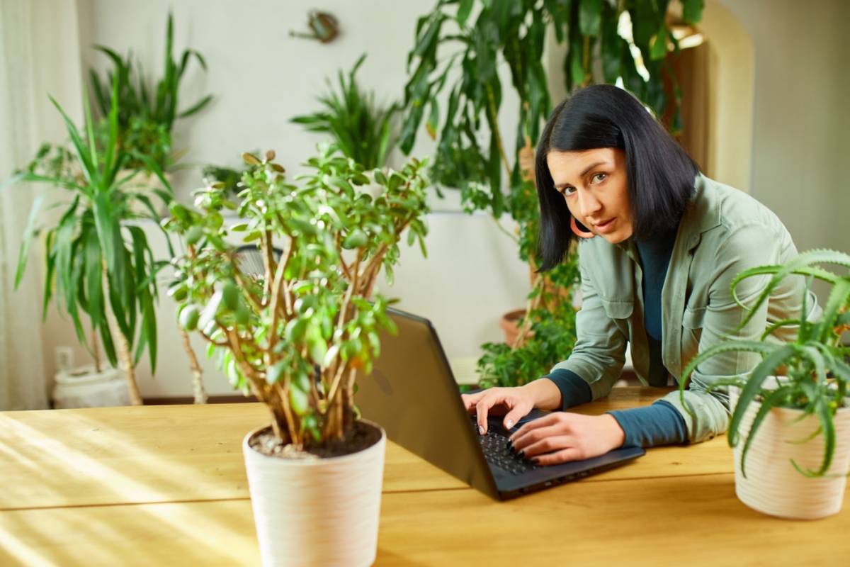 A Plant Lover Filled Her Home With Thriving Houseplants in Beautiful Decorative Pots, Then Realized Her Friends Would Not Take Any More, and Selling Them Online Became a Bigger Headache Than Growing Them