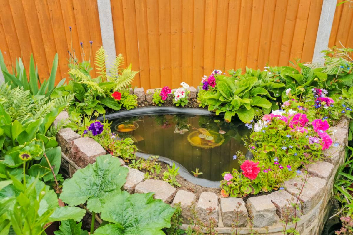 A Renter Inherited a Black, Stagnant Garden Pond Crawling With Mosquito Larvae, Then Restarted the Waterfall Only to Discover the Water Still Wouldn’t Clear
