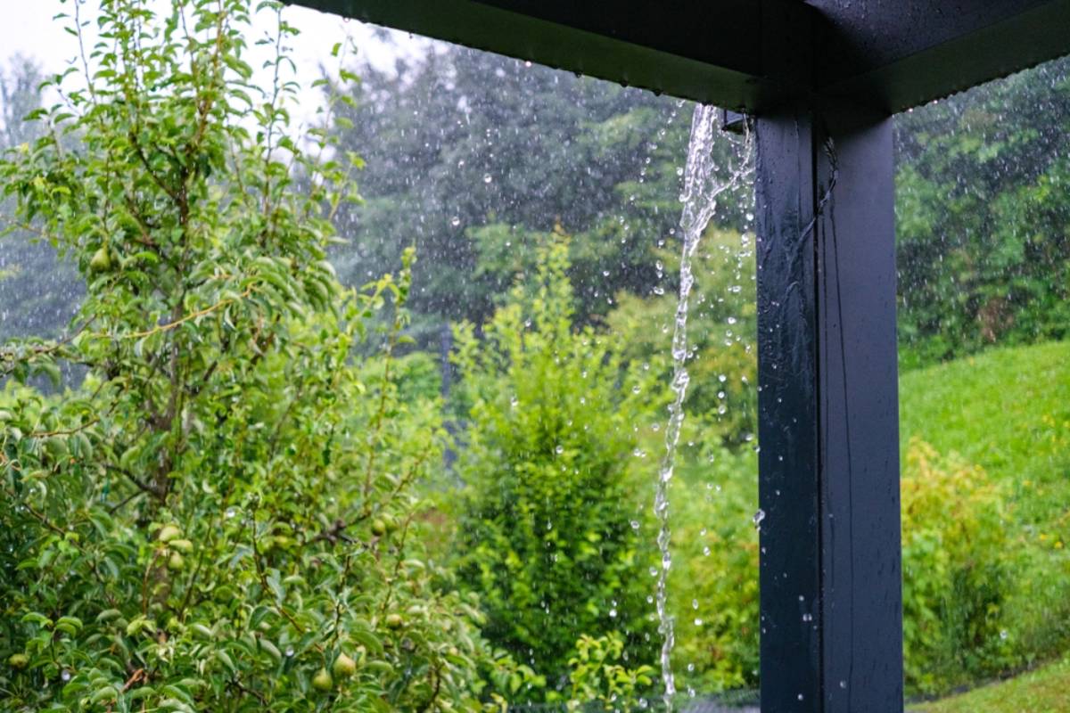 A Widower Went Outside to Save His Flooded Yard Before the Next Storm, Then Found His Late Wife’s Gardening Gloves and Tools Waiting Exactly Where She Had Left Them