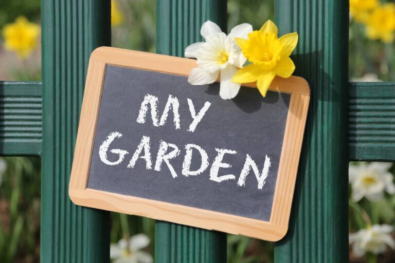 A Woman’s Friend Bought Her a Personalized Garden Flag to Help With Missing Grocery Deliveries, Then Stormed Off When She Refused to Put It Beside the Road