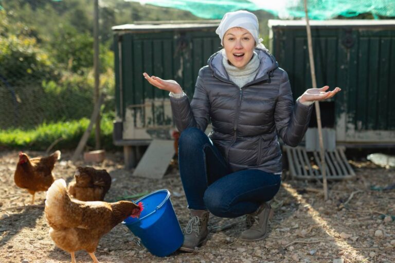 Backyard Chicken Keeper Says His Favorite Hen Was Attacked Just as She Approached Her First Egg, Then a Late-Night Rescue Took a Heartbreaking Turn That Left Him Questioning Everything He Did to Save Her