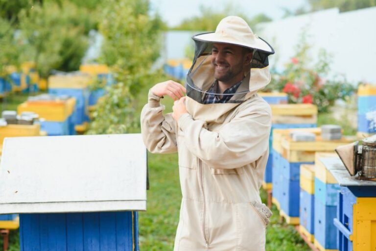 Beekeeper Hoped to Turn Two Struggling Bee Colonies Into One Thriving Hive, Then Discovered That Combining Thousands of Bees Was Far More Complicated Than Stacking Two Boxes Together