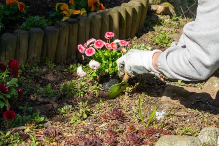 Home Gardener Thought His HOA Was His Biggest Enemy, Until They Started Planting His Favorite Native Flowers Everywhere and Ruined His Entire Garden Rebellion
