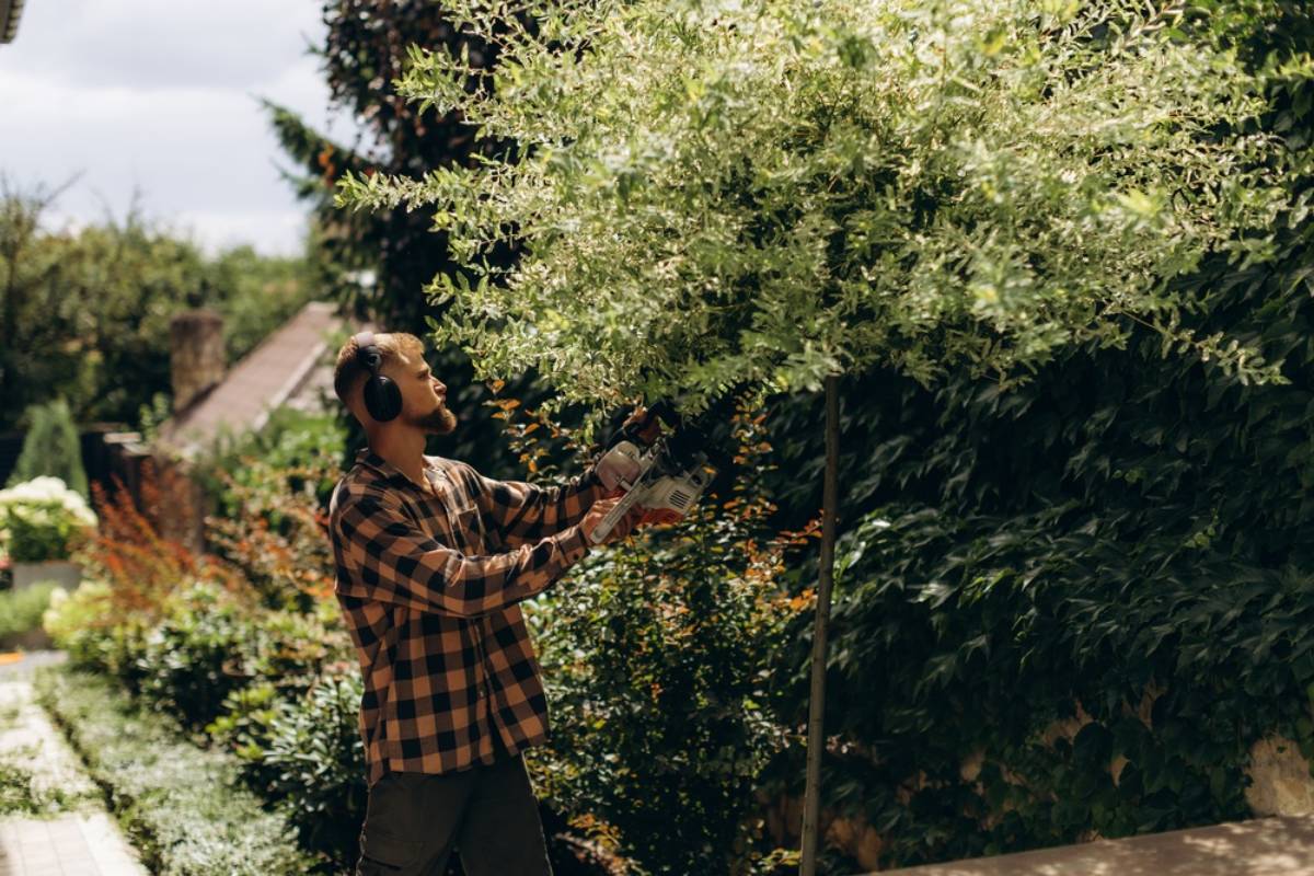 Homeowner Accepts a Developer’s Offer 60% Above Market Value, Then Neighbors Accuse Them of Destroying the Neighborhood and Begin Paying Their Final Tree a Visit