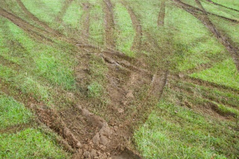 Homeowner Finds Tire Tracks Destroying the Edge of His Front Lawn for Weeks, Then Considers Installing a Camera Before Turning His Garden Into a Boulder-Protected Fortress