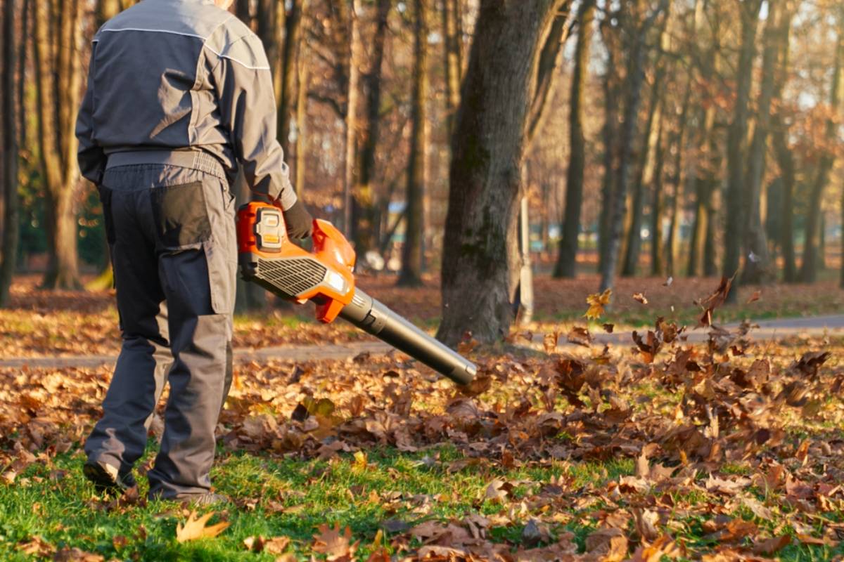 Homeowner Living Deep in Manitoba’s Boreal Forest Watches in Horror as Neighbor Hires Workers to Blow Away Every Fallen Leaf, Then Realizes the Next Wind Could Undo the Entire Operation
