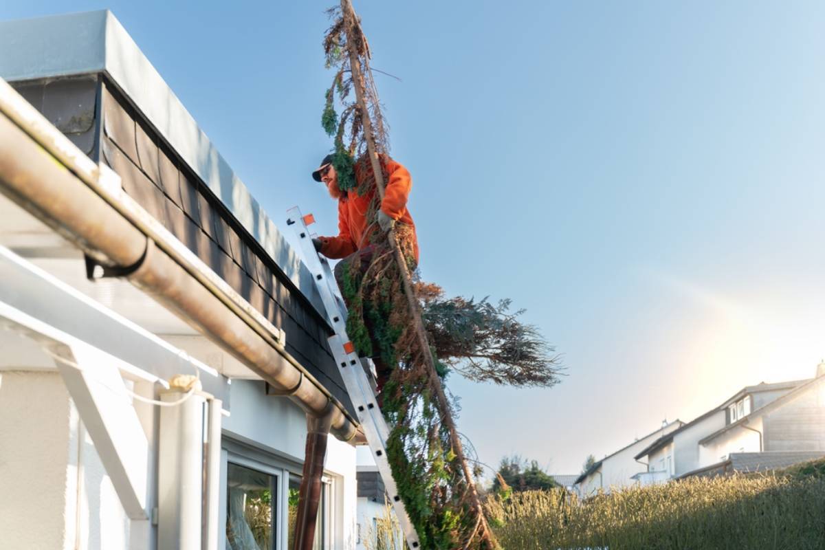 Homeowner Questions Why a Neighbor’s Tree Crew Started Cutting Branches Over His Roof Without Warning, Then a Debate Over Basic Courtesy Turned Into a Bigger Fight About Family Safety and Property Lines