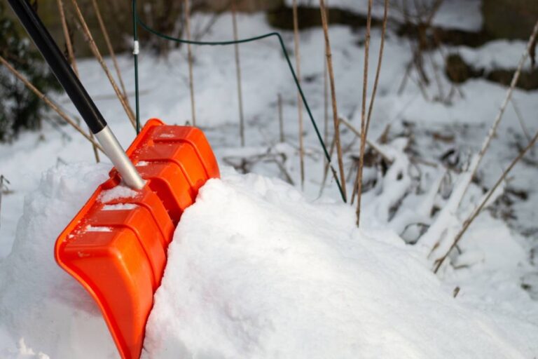 Homeowner Says He Let a Friend Move In After a Painful Breakup, Then a Broken Snow Shovel Exposed the Growing Resentment Over Household Chores