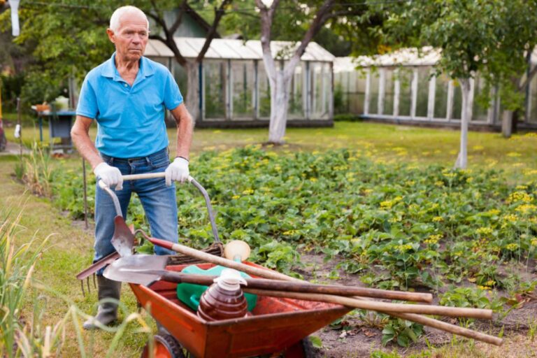 Homeowner Says He Moved to Florida for a Peaceful Retirement After Losing His Wife and Family, Then His New Neighbors Started Complaining About His Dog and Brown Lawn Until He Spent $350 Fixing a Garden Problem That Wasn't Even His