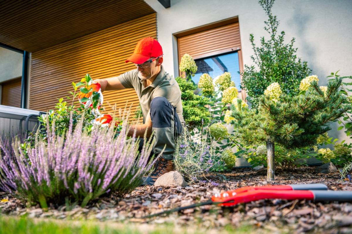 Homeowner Says He Secretly Destroyed His 80-Year-Old Neighbor’s Prize-Winning Rose Garden for Two Years, Then the Heartbroken Gardener Walked Across the Fence to Thank Him